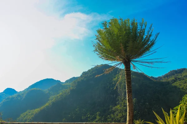 Montaña en verano — Foto de Stock