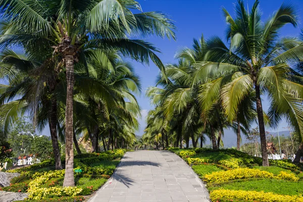 Schöner Garten im Sommer — Stockfoto