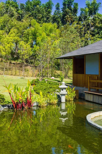 Pond in japanese garden — Stock Photo, Image