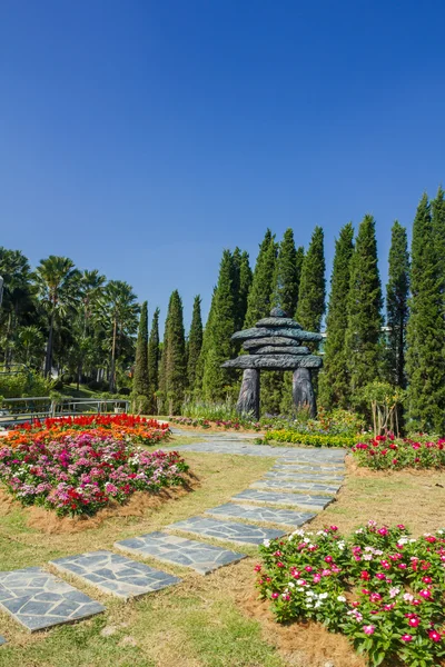 Hermoso jardín en verano —  Fotos de Stock