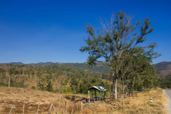 Casetta a valle in campagna . — Foto Stock