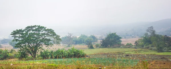 農業風景パノラマ — ストック写真