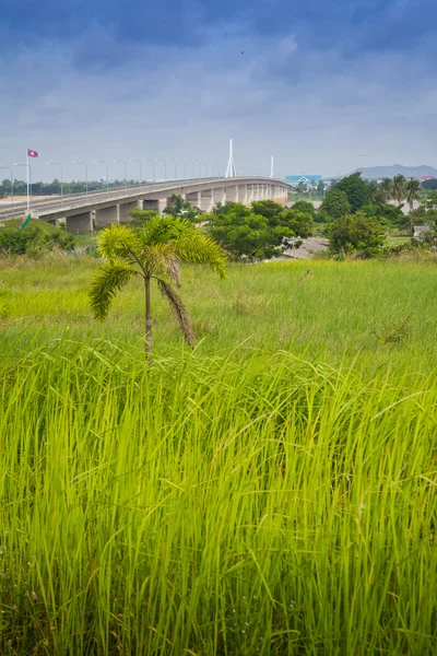 Puente de la amistad Thai-Lao —  Fotos de Stock