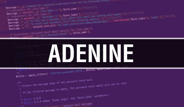 プログラムコードのランダムな部分とAdenineの概念 ソフトウェア開発者とコンピュータスクリプトのプログラミングコード抽象技術の背景に書かれたAdenineのテキスト コードを使用したアデニンバックグラウンド — ストック写真