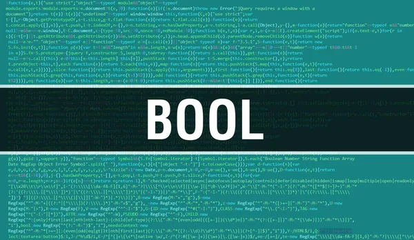 Bool Text Written Programming Code Abstract Technology Background Software Developer — Stock Photo, Image