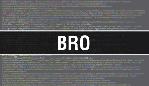 Bro Digital Java Code Text BroとComputerのソフトウェアコーディングベクトルの概念 プログラミング コーディング スクリプトJava 画面上のBroとデジタル — ストック写真