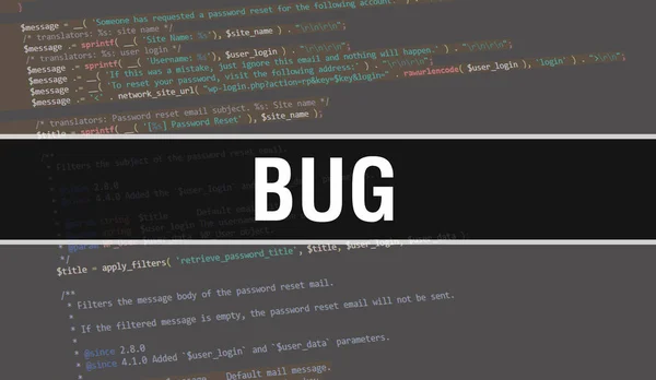 Απεικόνιση Έννοια Bug Χρησιμοποιώντας Κώδικα Για Την Ανάπτυξη Προγραμμάτων Και — Φωτογραφία Αρχείου