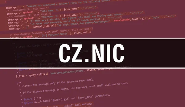 Nic Konzept Mit Zufälligen Teilen Des Programmcode Nic Text Auf — Stockfoto