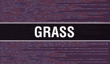 Dijital Java kod metni olan GRASS. GRASS ve Bilgisayar yazılım kodlama vektör kavramı. Senaryo Java programlanıyor, ekranda GRASS olan dijital program kodu