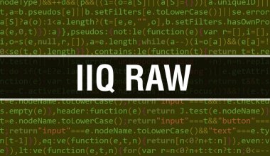 Programın Random Parts of Program Code.IIQ RAW metninin yazıldığı IIQ RAW kavramı yazılım geliştiricisi ve bilgisayar yazılımının programlama kodu soyut teknoloji arkaplanı üzerine yazılmıştır. Kod Arka Gruplandırmalı IIQ RAW
