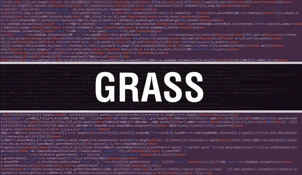 Grass Digital Java Code Text Grass和计算机软件编码器矢量概念 用Grass在屏幕插画上编程编码脚本Java 数字程序代码 — 图库照片