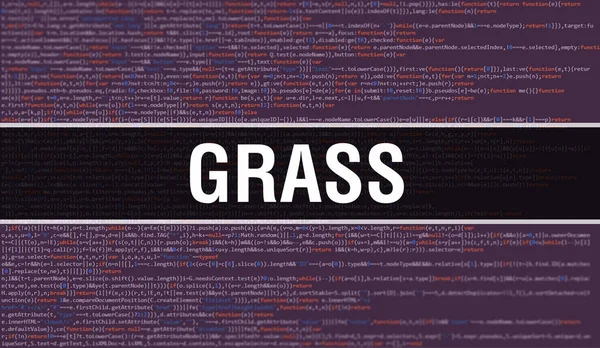 Dijital Java kod metni olan GRASS. GRASS ve Bilgisayar yazılım kodlama vektör kavramı. Senaryo Java programlanıyor, ekranda GRASS olan dijital program kodu