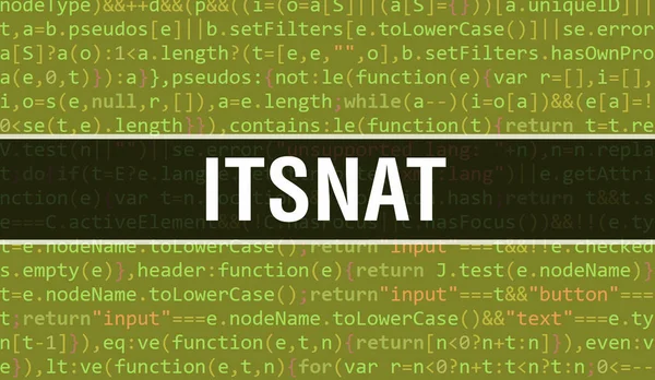Dijital Java kod metni ile Nat. Bu Nat ve Bilgisayar yazılım kodlama vektör kavramı. Senaryo Java programlanıyor, ekranda ItsNat ile birlikte dijital program kodu