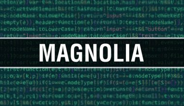 Program ve uygulama geliştirmek için kod kullanarak manolya konsepti çizimi. Koyu arkaplanda tarayıcı görünümünde renkli etiketleri olan Magnolia web sitesi kodu. İkili bilgisayar kodunda manolya, sıralı kütle
