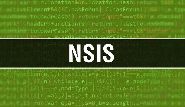 Programın Gelişigüzel Parçaları ile NSIS konsepti. Yazılım geliştiricisi ve Bilgisayar betiği için programlama kodları soyut teknoloji arka planına sahip NSIS. NSIS Arkaplan Görevi