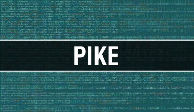 Dijital Java kodlu Pike. Pike ve Bilgisayar yazılım kodlama vektör kavramı. Senaryo Java programlanıyor, Pike ekranda resimli dijital program kodu