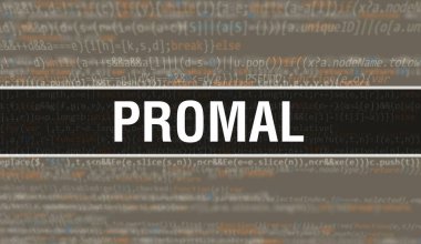 Yazılım geliştiricisi ve Bilgisayar betiğinin programlama kodu soyut teknoloji arkaplanı üzerine yazılmış PROMAL metni. Bilgisayar monitöründeki PROMAL kod kavramı. Kodlama PROMAL programlama web oturumu