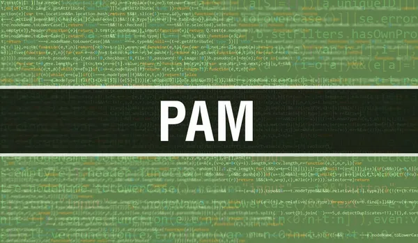 Pam Com Texto Código Java Digital Pam Conceito Vetor Codificação — Fotografia de Stock