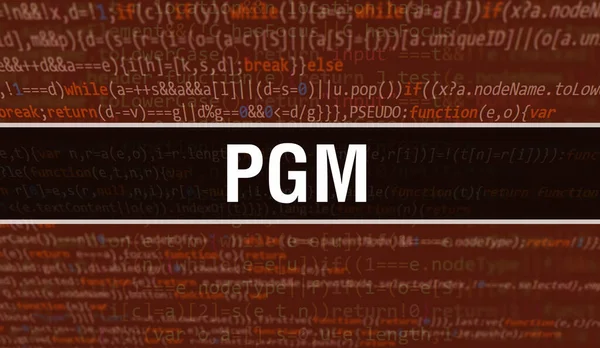 Ilustração Conceito Pgm Usando Código Para Desenvolver Programas Aplicativos Código — Fotografia de Stock