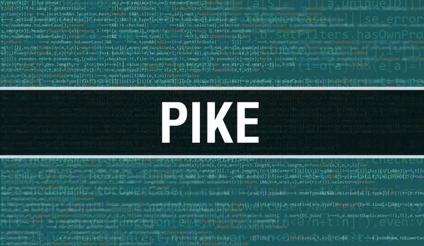Pike Com Texto Código Java Digital Pike Computer Software Coding — Fotografia de Stock