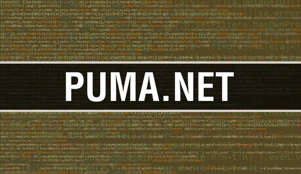 Puma Net Met Digitale Java Code Tekst Puma Net Computer — Stockfoto