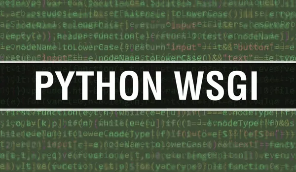 Python Wsgi 바이너리 디지털 기반이다 프로그램 코드와 파이썬 Wsgi 추상적 — 스톡 사진