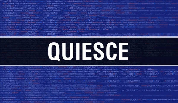 Koncept Quiesce Náhodnými Částmi Programového Kódu Quiesce Programming Code Abstract — Stock fotografie