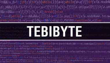 Programlama kodunun Random Parts of Program Code.tebibyte metni içeren tebibyte kavramı yazılım geliştiricisi ve bilgisayar yazılımının soyut teknoloji arkaplanı üzerine yazılmıştır. Teknoloji morina balığıyla tebibyte