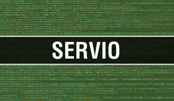 Servio Met Digitale Java Code Tekst Servio Computer Software Codering — Stockfoto