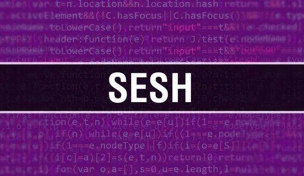 Sesh Concept Random Parts Program Code Sesh Κείμενο Γραμμένο Κώδικα — Φωτογραφία Αρχείου