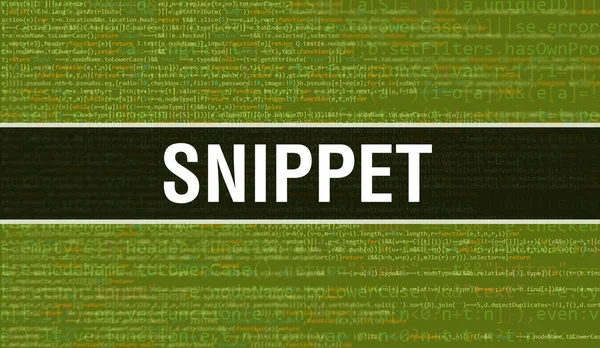 Snippet Com Texto Código Java Digital Snippet Conceito Vetor Codificação — Fotografia de Stock