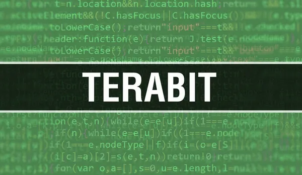 Terabit Binary Κώδικα Ψηφιακή Τεχνολογία Φόντο Αφηρημένο Φόντο Κώδικα Προγράμματος — Φωτογραφία Αρχείου