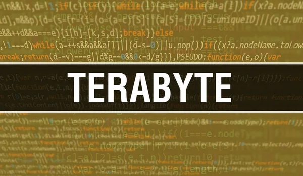 Terabyte Έννοια Τυχαία Μέρη Του Προγράμματος Code Terabyte Κείμενο Γραμμένο — Φωτογραφία Αρχείου