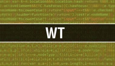 Dijital Java kod metni ile birlikte. WT ve Bilgisayar yazılım kodlama vektörü konsepti. Java kodlama betiği programlanıyor, ekranda Wt resimli dijital program kodu