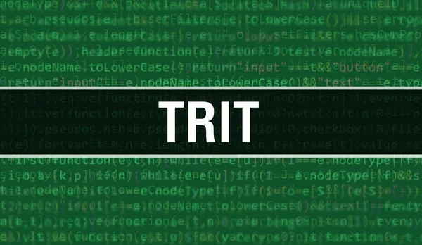 Trit Con Testo Codice Java Digitale Concetto Vettoriale Codifica Software — Foto Stock