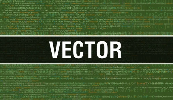 Concepto Vectorial Con Partes Aleatorias Del Código Del Programa Vector —  Fotos de Stock