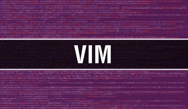 Vim 텍스트는 소프트웨어 개발자와 컴퓨터 스크립트의 추상적 프로그래밍 코드에 작성되었다 — 스톡 사진