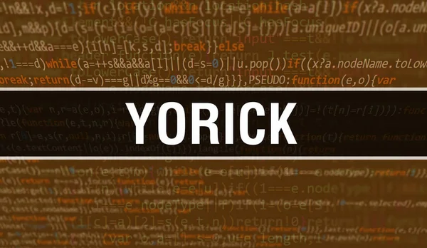 Yorick Textem Digitálního Java Kódu Yorick Počítačový Software Kódují Vektorový — Stock fotografie