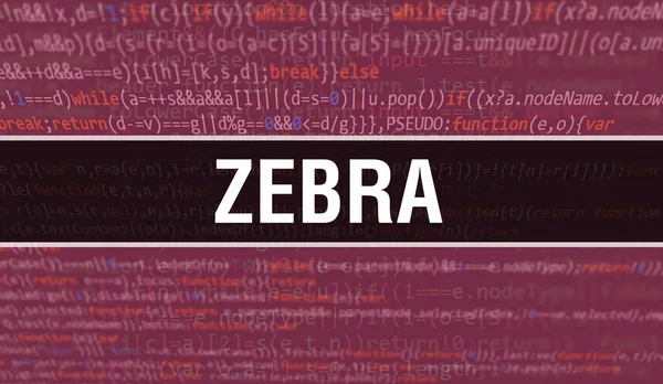 Zebra与数码爪哇代码文本 斑马和计算机软件编码器矢量概念 用Zebra在屏幕上演示编程编码脚本Java 数字程序代码 — 图库照片