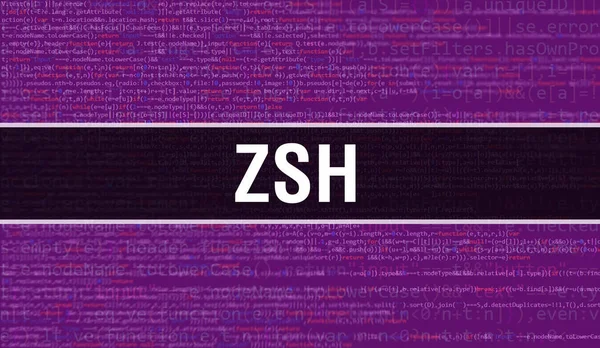 Zsh Text Geschrieben Auf Programmiercode Abstrakte Technologie Hintergrund Der Software — Stockfoto