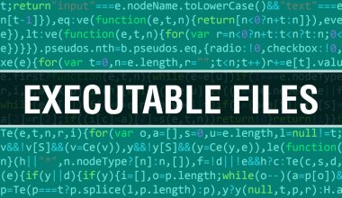 Programın Random Parts of Program Kodu ile çalıştırılabilir dosyalar kavramı. Programlama kodları üzerinde yazılan çalıştırılabilir dosyalar, yazılım geliştiricisi ve Bilgisayar betiğinin soyut teknoloji arkaplanı. Çalıştırılacak!