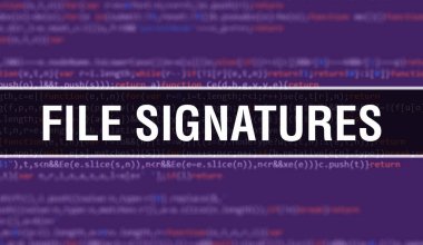 Yazılım geliştiricisi ve Bilgisayar betiğinin programlama kodu soyut teknoloji arka planı üzerine yazılmış dosya imzaları. Bilgisayar monitöründe dosya imzaları kavramı. Dosya Kodlama imzası