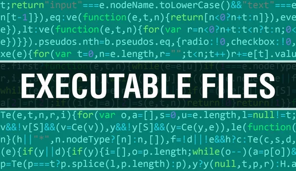 Executable Files Concept Random Parts Program Code Executable Files Text — Stockfoto