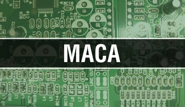 Maca Text Geschrieben Auf Circuit Board Electronic Abstrakte Technologie Hintergrund — Stockfoto