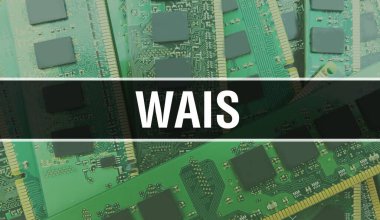 WAIS metni yazılım geliştiricisi ve bilgisayar yazılımının Elektronik soyut teknoloji arka planı üzerine yazılmıştır. WAIS Entegre Devre kavramı. WAIS entegre devre ve direnç