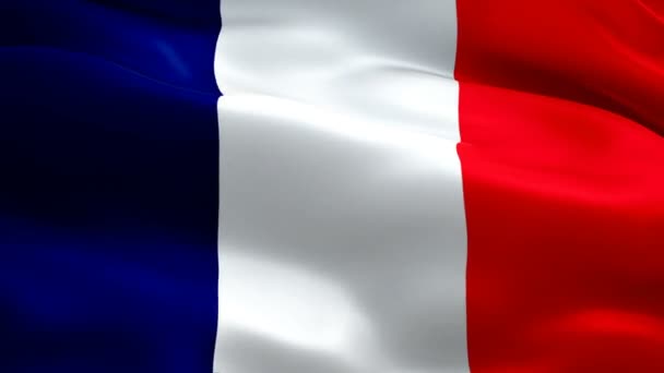 프랑스 프랑스의 국기가 펄럭이고 흔들리며 아름다운 완장을 프랑스의 애니메이션 플래그 — 비디오