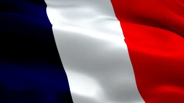フランスの国旗が3Dアニメーションを振っている 風になびくフランス国旗 フランスの国旗 シームレスなループアニメーションを フランス人サテンビデオ フランス国旗の織り方 Real Waving — ストック動画