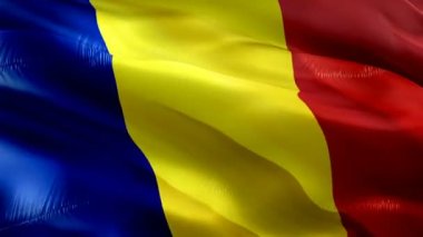 Chad Flag Motion Loop videosu rüzgarda dalgalanıyor. Gerçekçi Chad Flag geçmişi. Chad seyahat bayrak döngüsü kapanışı 1080p Tam HD 1920X1080 görüntü. Chad Asia 'nın ülke bayrakları film ve haber videolarını kaydetti