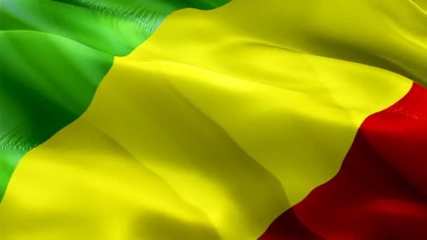 Congo Flag Motion Loop Video Waving Wind Realistic Congo Flag — Vídeo de Stock