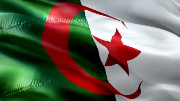 Algeria Flag Motion Loop Video Waving Wind Realistic Algerian Flag — стоковое видео